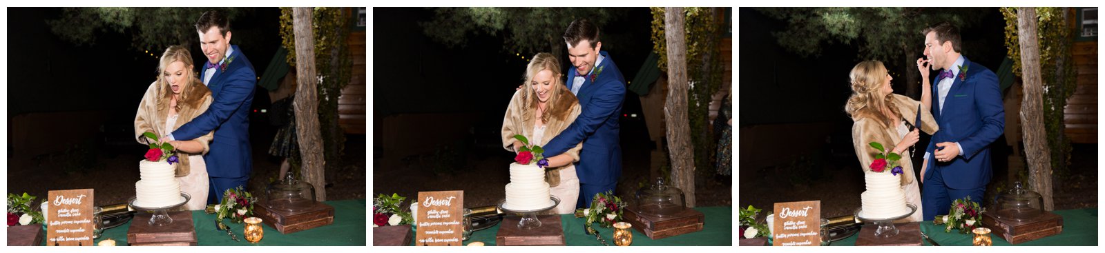 cutting the cake wedding photos
