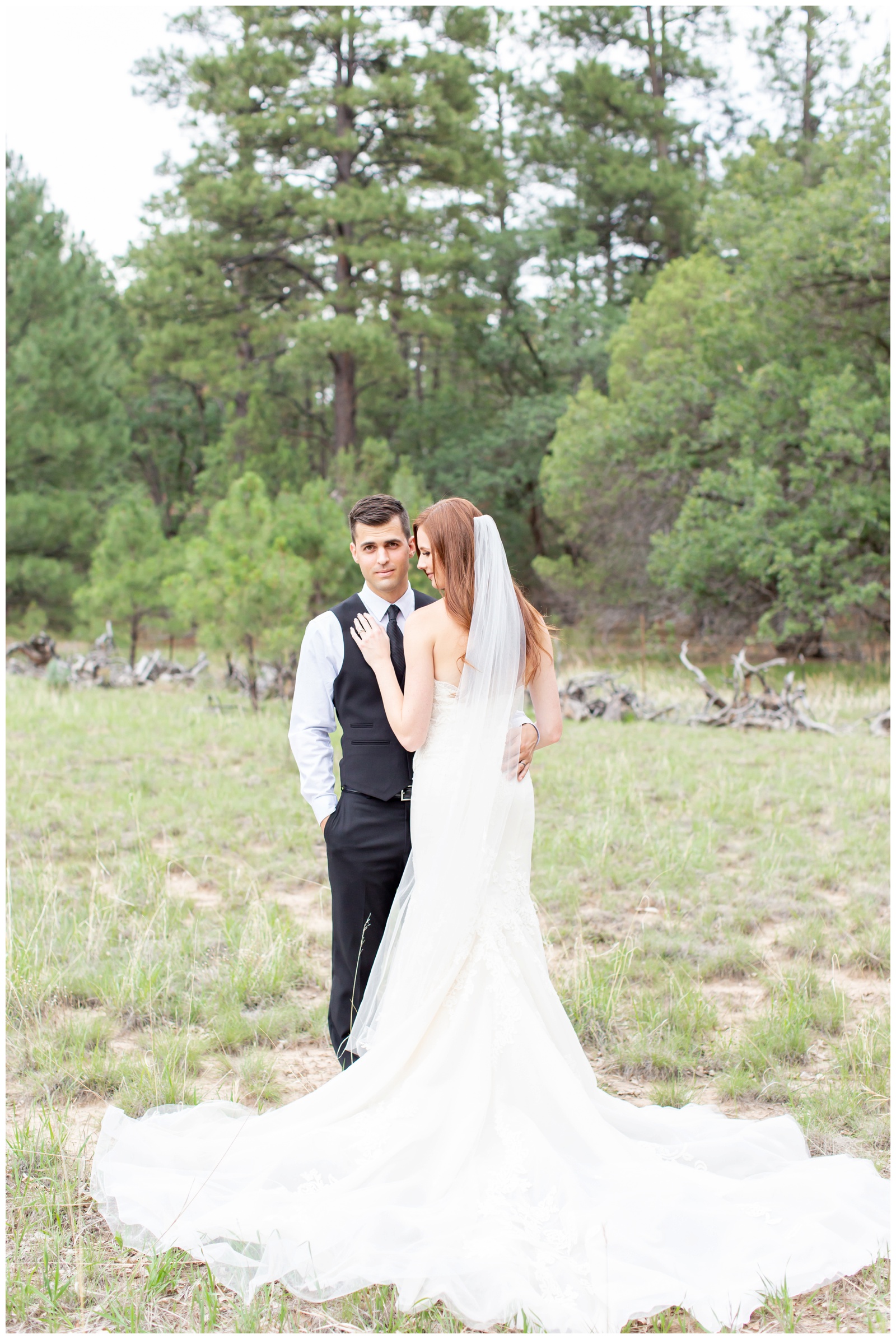 romantic wedding portrait at pinetop arizona by riane roberts photography