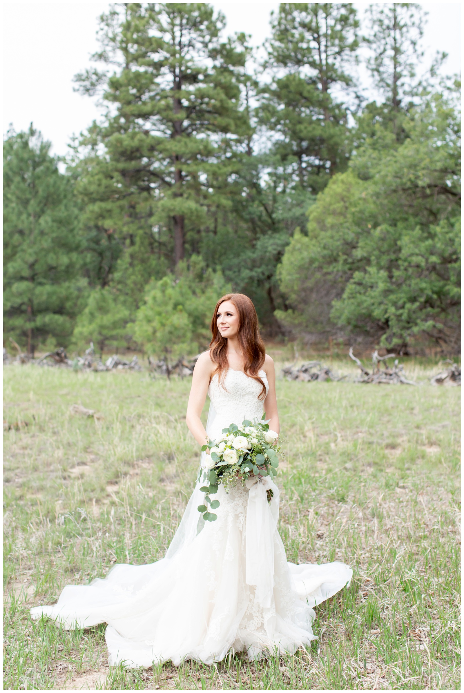 bride portrait in pinetop az